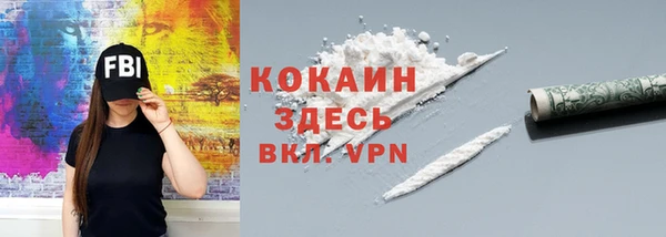 прущие грибы Богородск