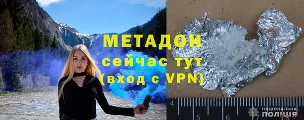 прущие грибы Богданович