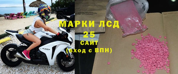 прущие грибы Богданович