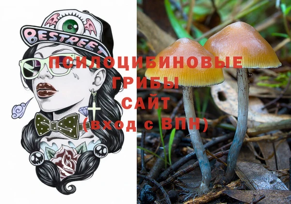 прущие грибы Богданович