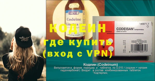 прущие грибы Богданович