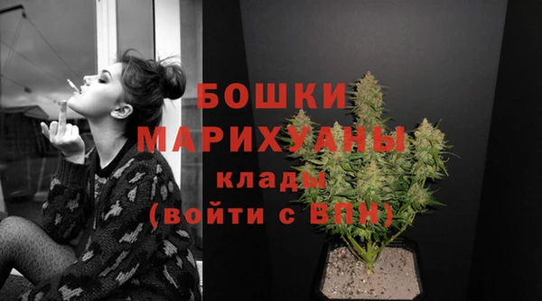 прущие грибы Богородск