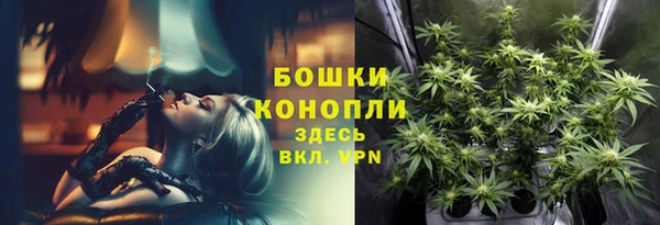 прущие грибы Богданович